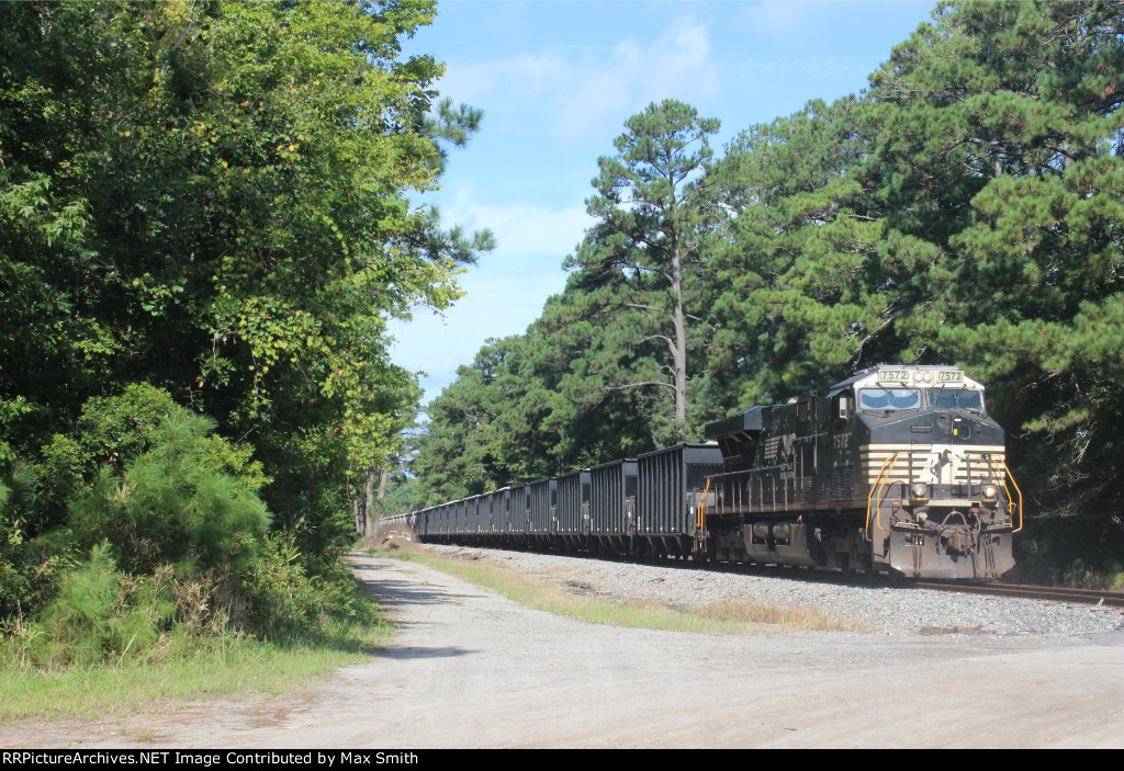 NS P29